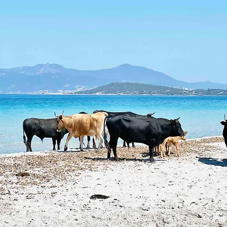 Villa Luxe 5 étoiles à Porticcio, Vue Mer, Proche Des Plages